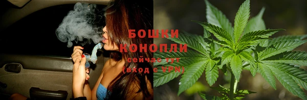 Альфа ПВП Абаза