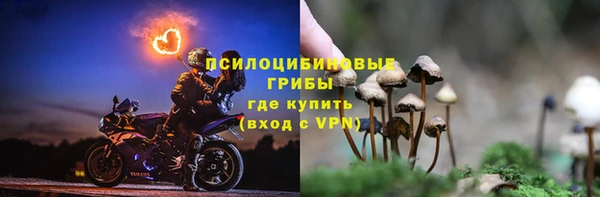 Альфа ПВП Абаза